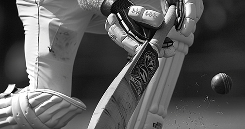 ALBION PARK CRICKET CLUB